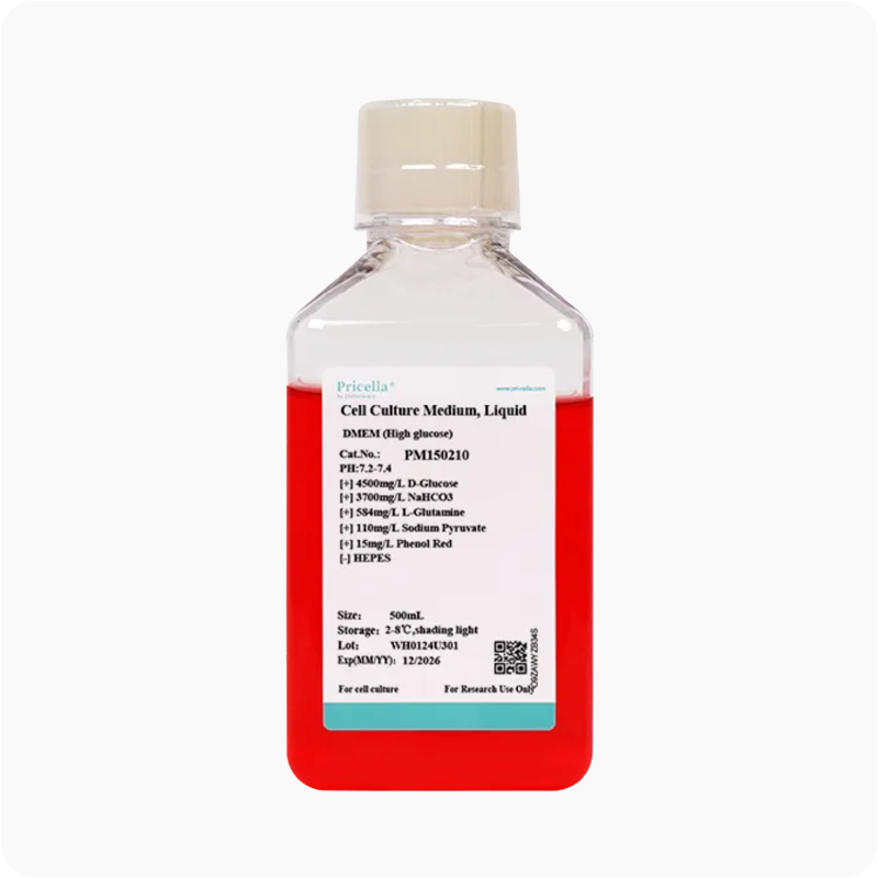 DMEM Alta Glucosa 500 mL | Medio para cultivo celular (PM150210)