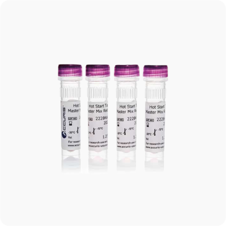 Polimerasa Accuris Hot Start Taq para PCR | Alta especificidad, 500 unidades