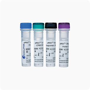 Accuris qMAX First Strand cDNA Synthesis Flex Kit, 50 reacciones | cDNA para qPCR con primers separados