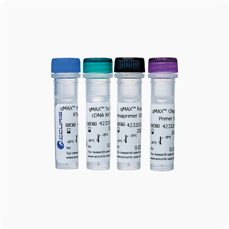 Accuris qMAX First Strand cDNA Synthesis Flex Kit, 50 reacciones | cDNA para qPCR con primers separados