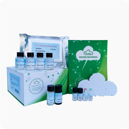 Kit ELISA para CD5 humano, 96 pruebas | Ensayo sándwich cuantitativo