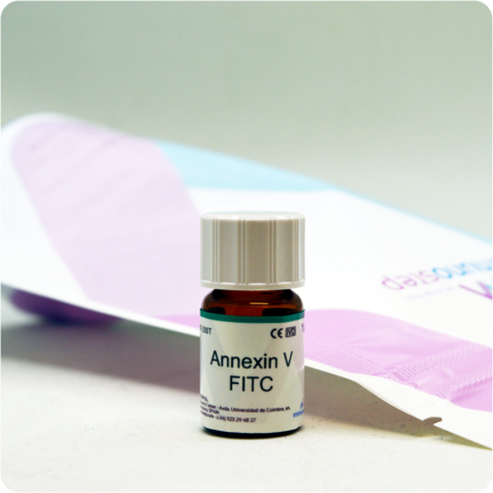 FITC Annexin V
