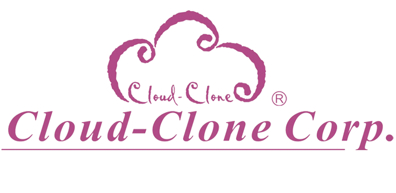 Cloud‑Clone Corp.
