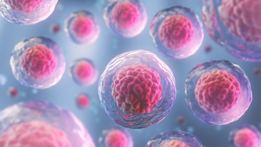 Guía de reactivos Elabsciences para aplicaciones con anticuerpos: WB, IHC, IF, FCM e IP